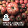 Fontaine - Heringsfilets in Bio-Tomaten-Creme - 200 g - 5er Pack - Zarter Hering mit Tomate aus 100% zertifizierter, nachhaltiger Fischerei und kontrolliertem Anbau – Bild 4